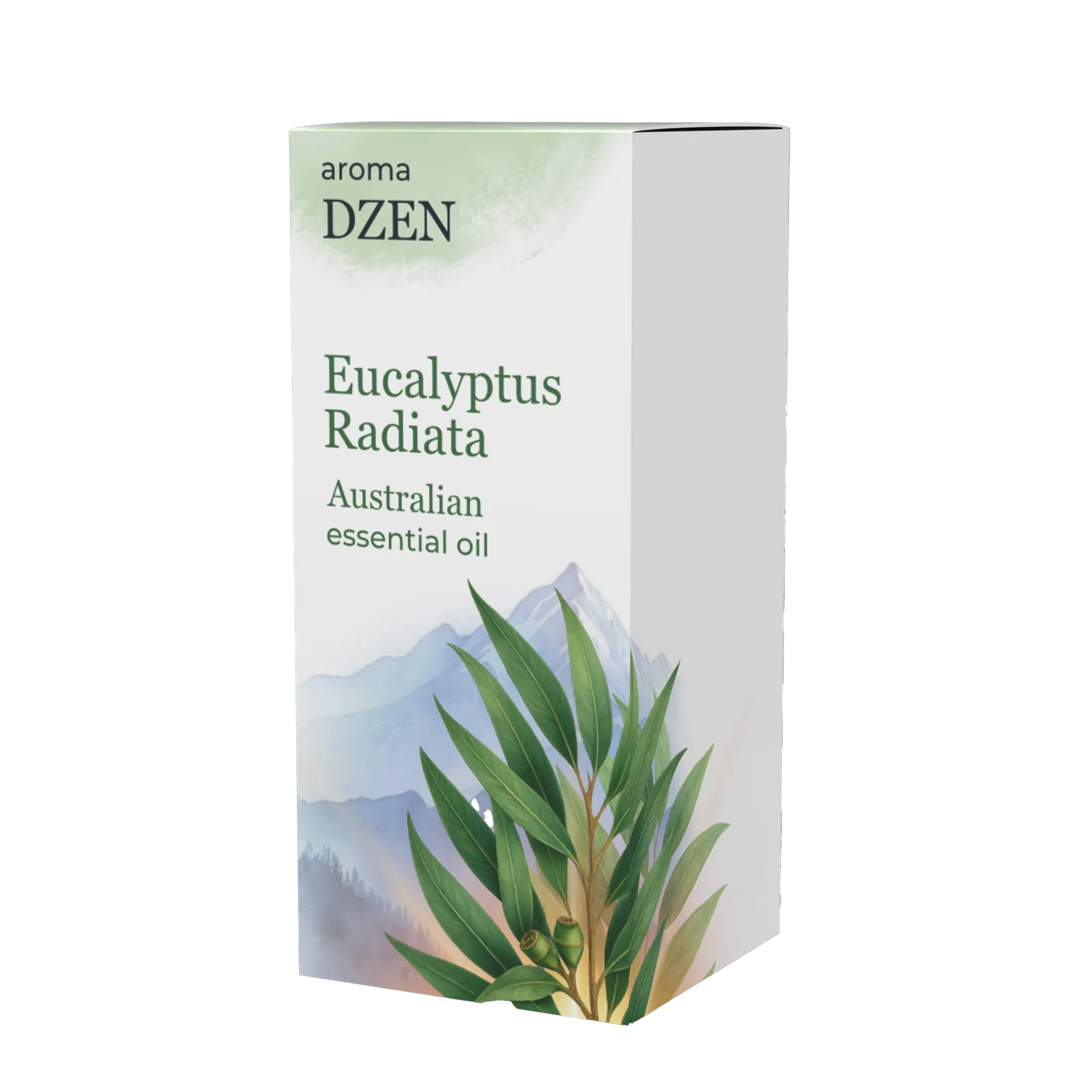 EUCALYPTUS RADIATA AUSTRALIAN