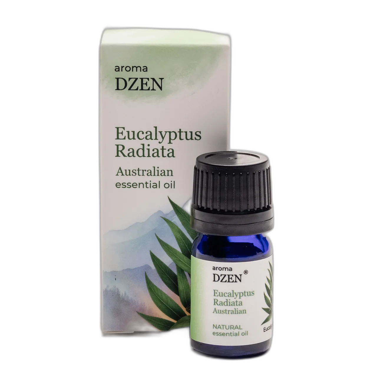 EUCALYPTUS RADIATA AUSTRALIAN — изображение 3