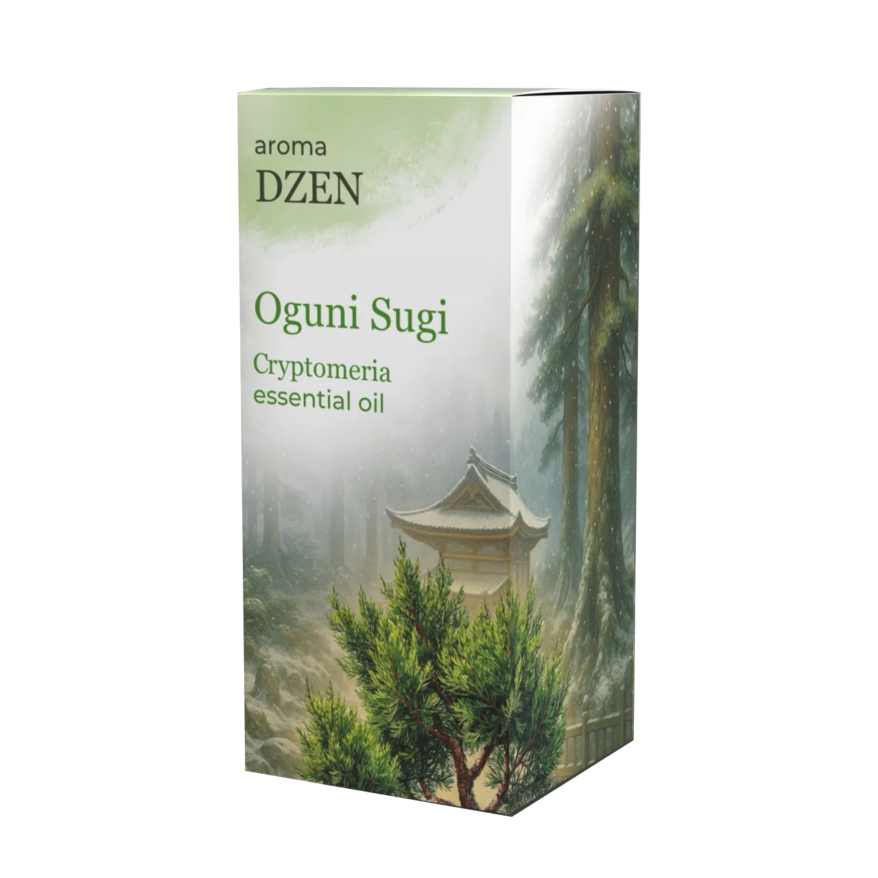 OGUNI SUGI (CRYPTOMERIA)
