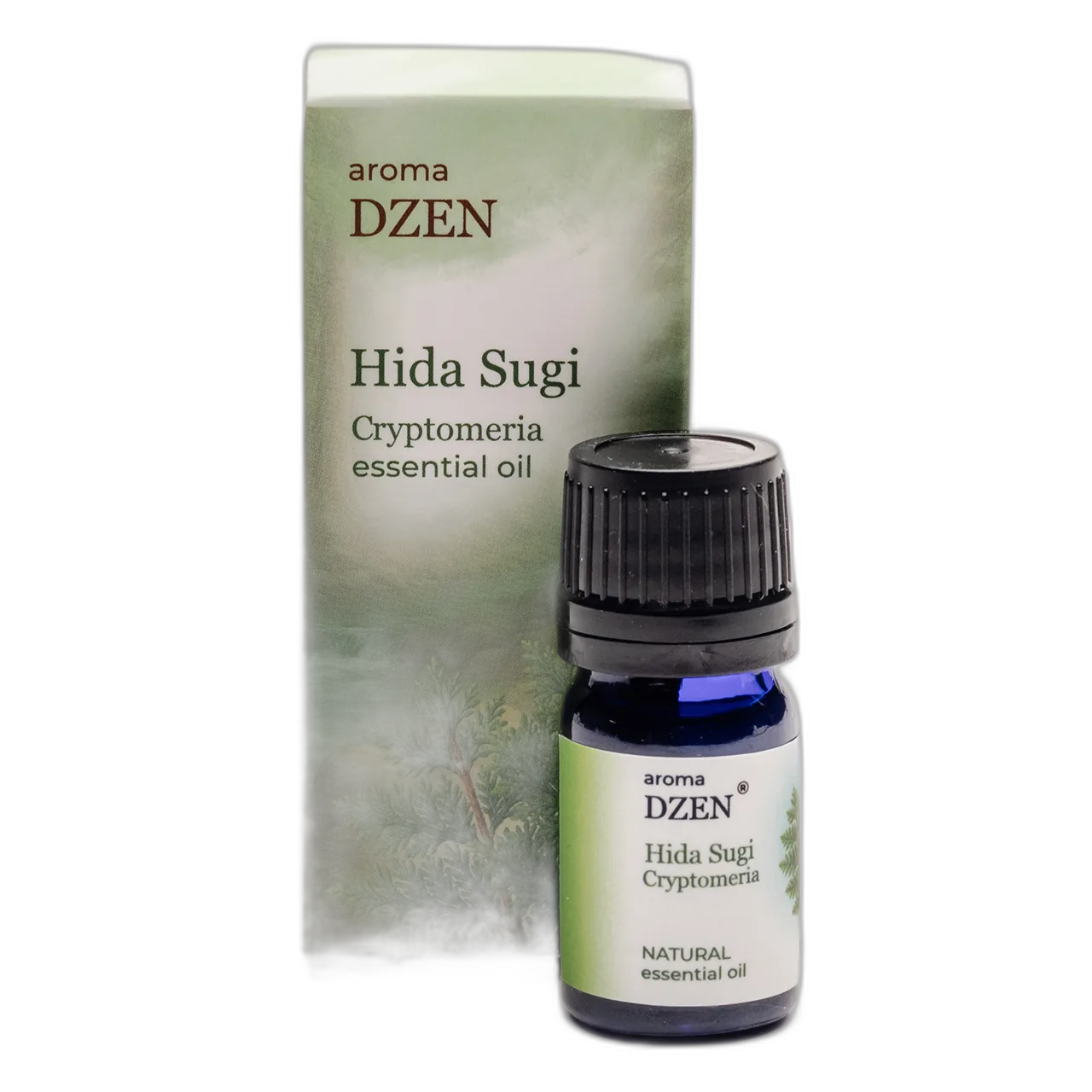 HIDA SUGI (Cryptomeria) — изображение 3