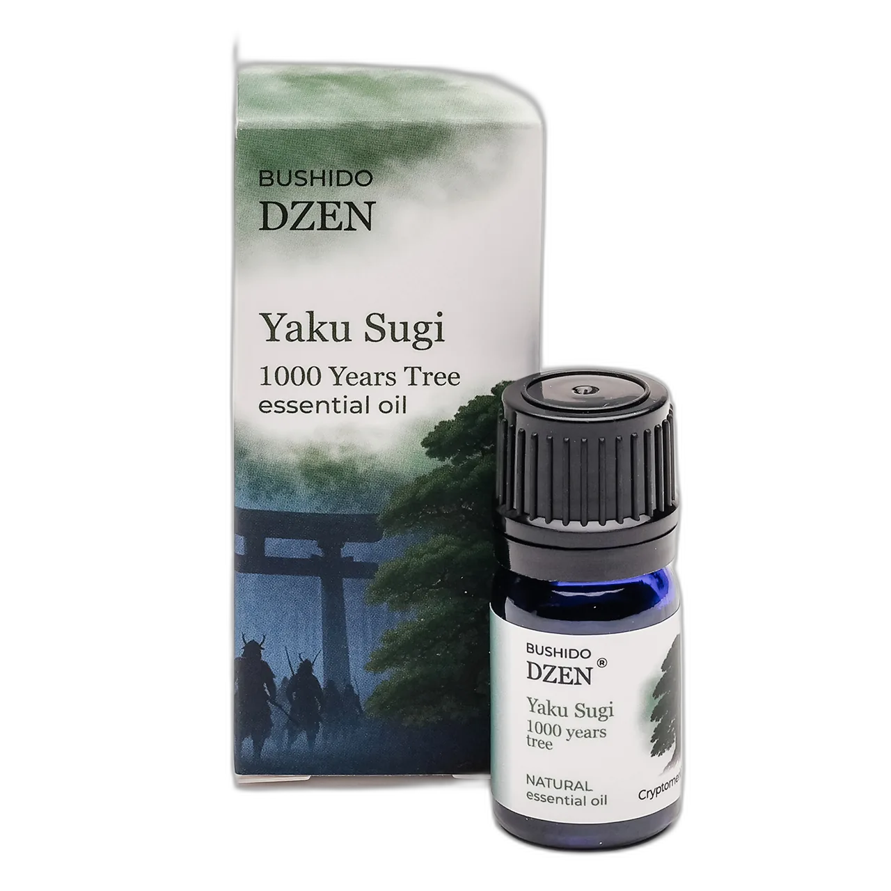 YAKU SUGI (1000 YEARS TREE) — изображение 3