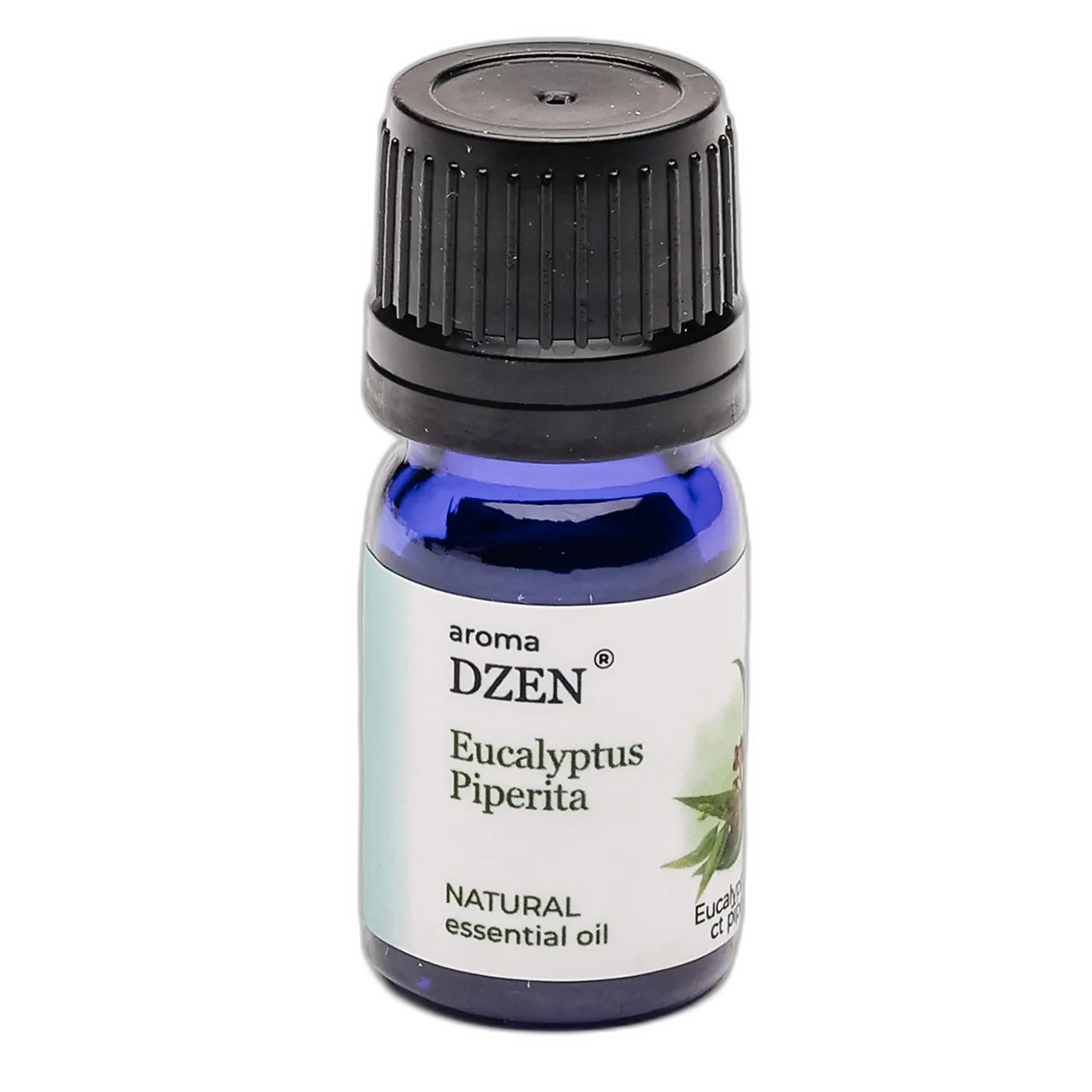 EUCALYPTUS PIPERITA — изображение 2