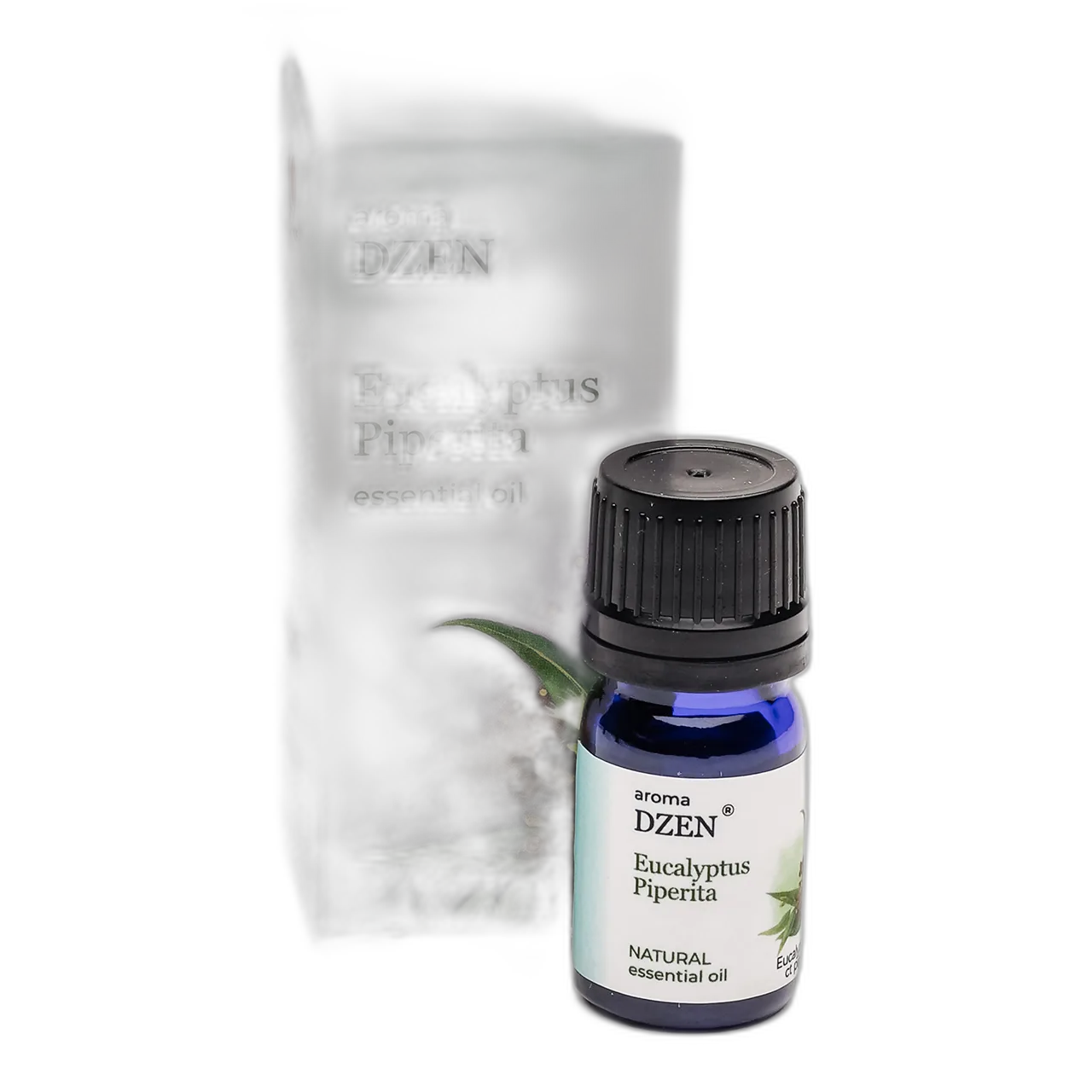 EUCALYPTUS PIPERITA — изображение 3