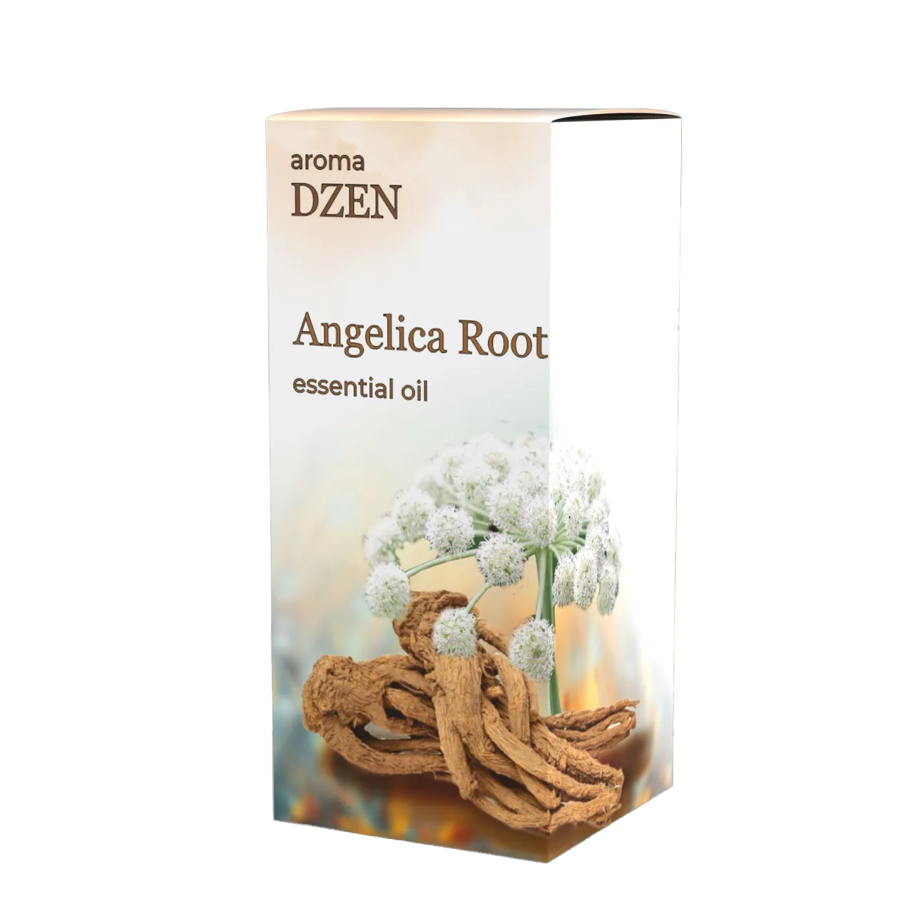 ANGELICA ROOT
