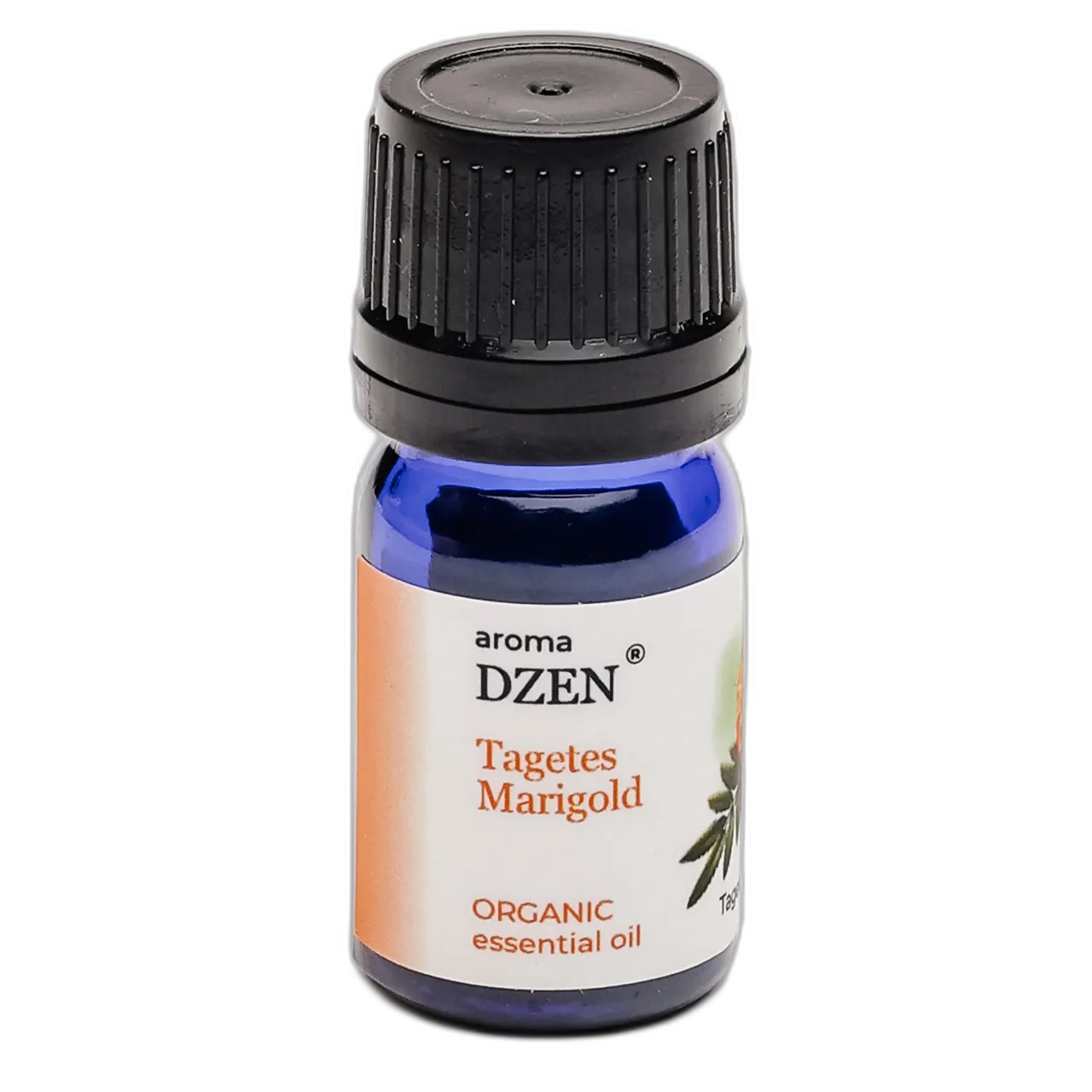 TAGETES MARIGOLD — изображение 2