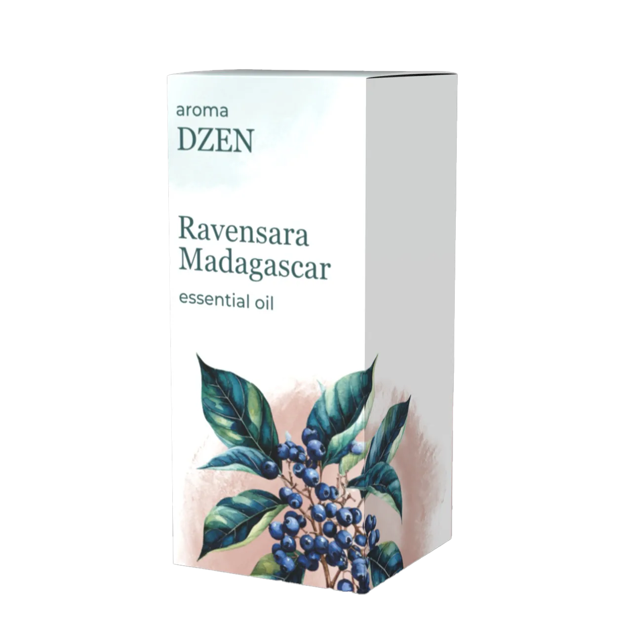 RAVENSARA MADAGASCAR