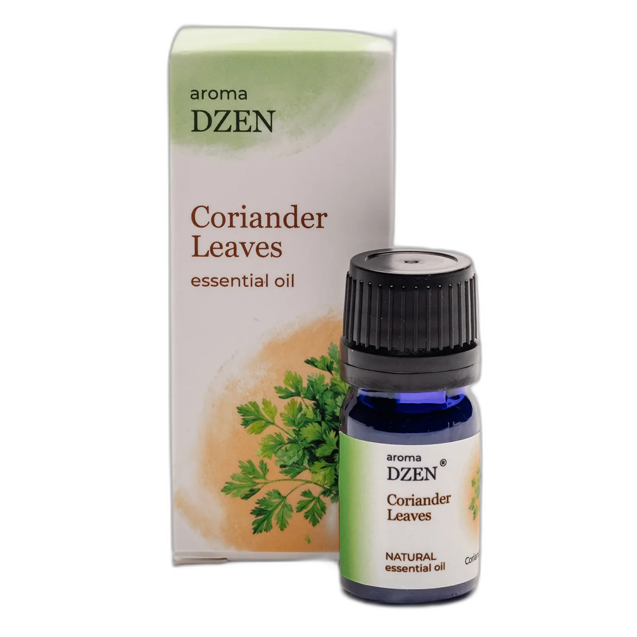 CORIANDER LEAVES — изображение 3
