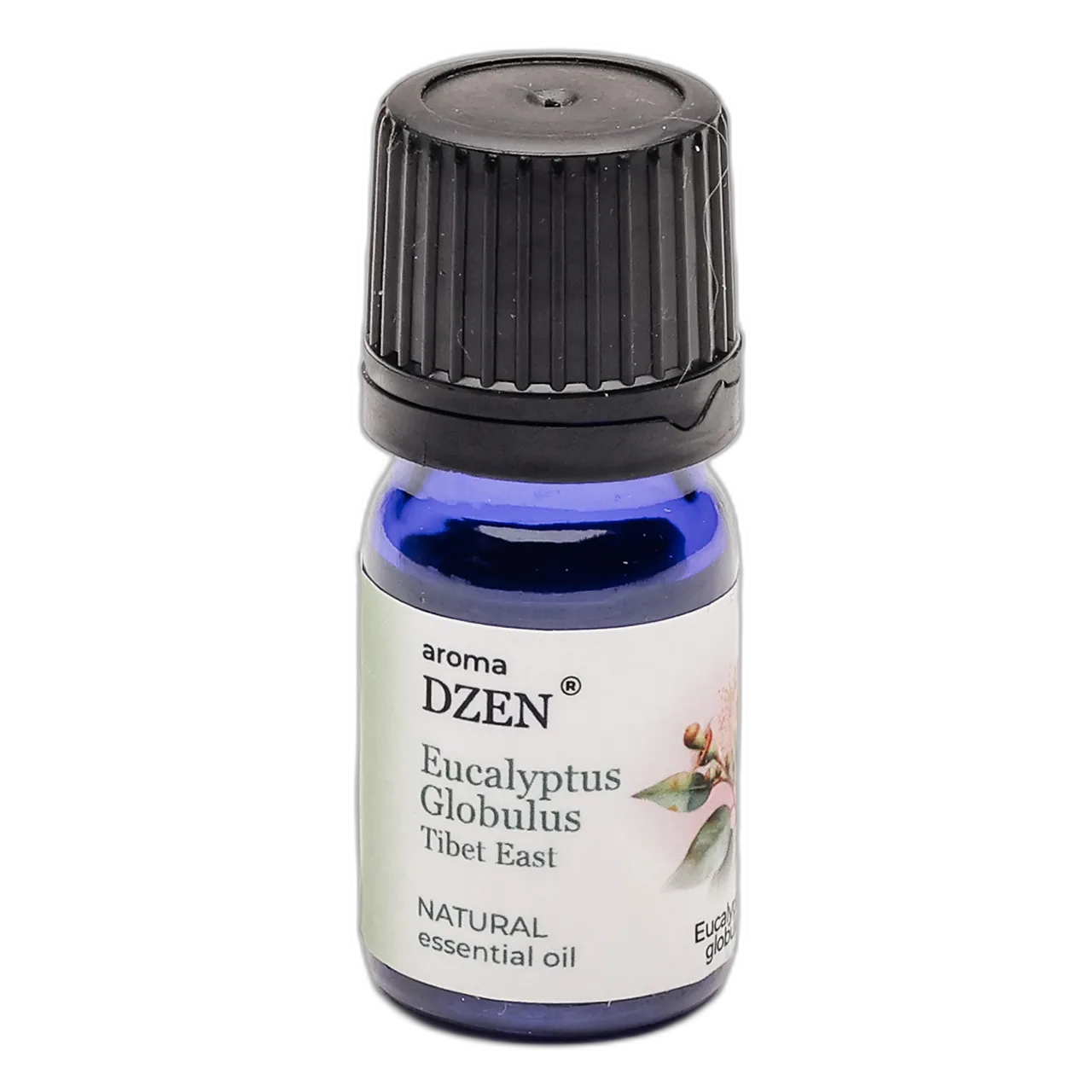 EUCALYPTUS GLOBULUS (TIBET EAST) — изображение 2