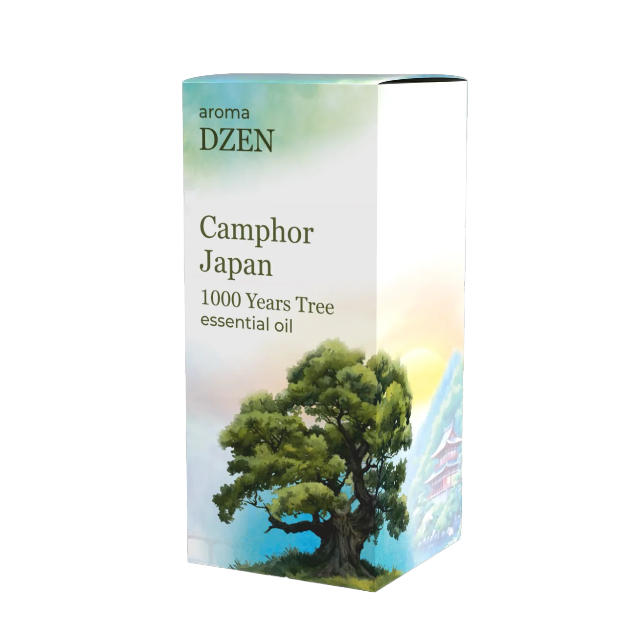 CAMPHOR JAPAN (1000 YEARS TREE)