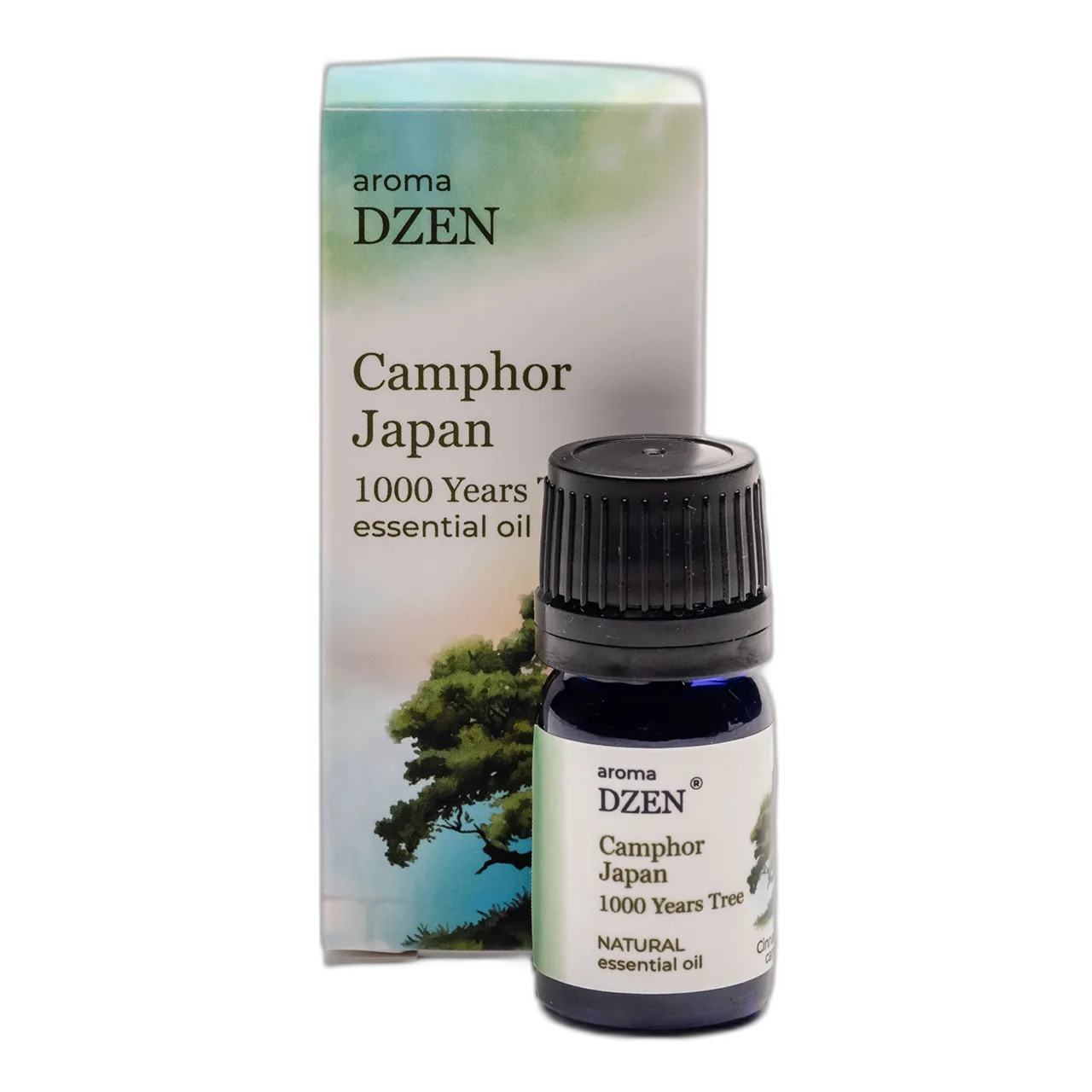 CAMPHOR JAPAN (1000 YEARS TREE) — изображение 3
